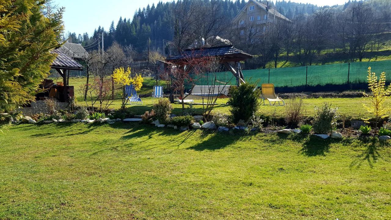 Borşa Cabana Rustic المظهر الخارجي الصورة
