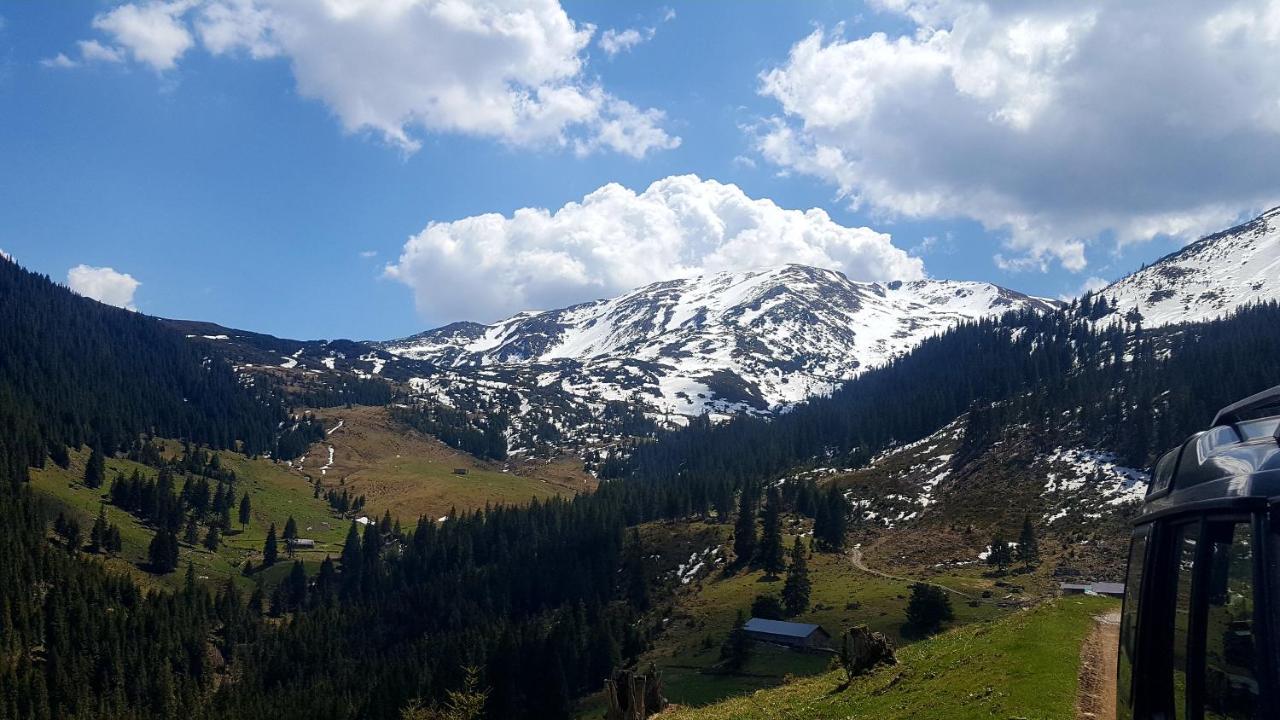 Borşa Cabana Rustic المظهر الخارجي الصورة