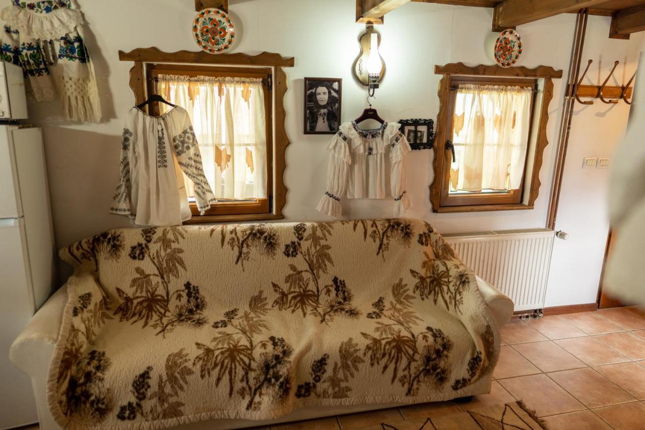 Borşa Cabana Rustic المظهر الخارجي الصورة