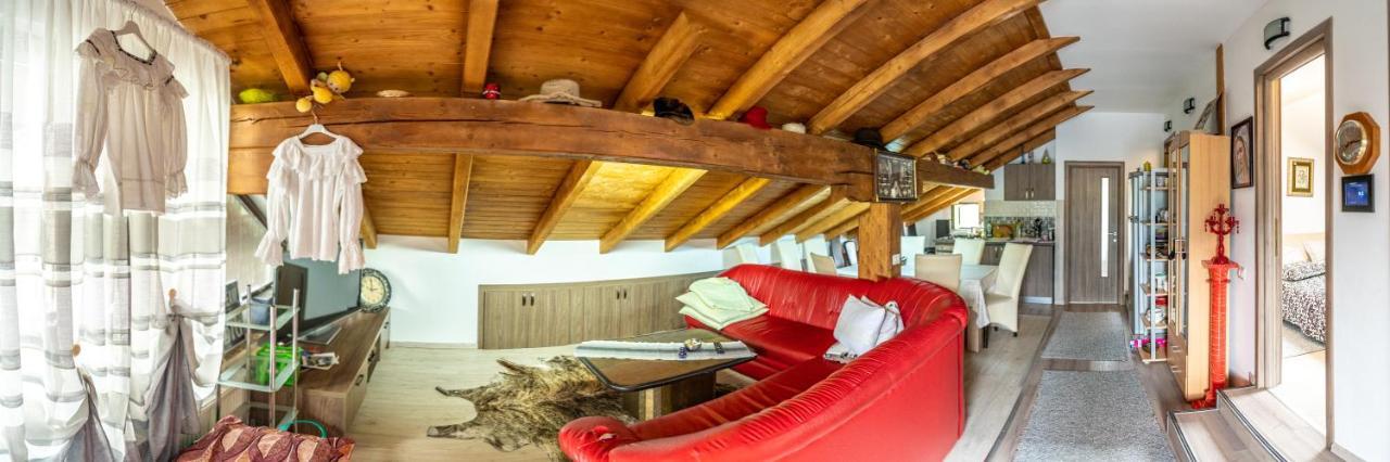 Borşa Cabana Rustic المظهر الخارجي الصورة