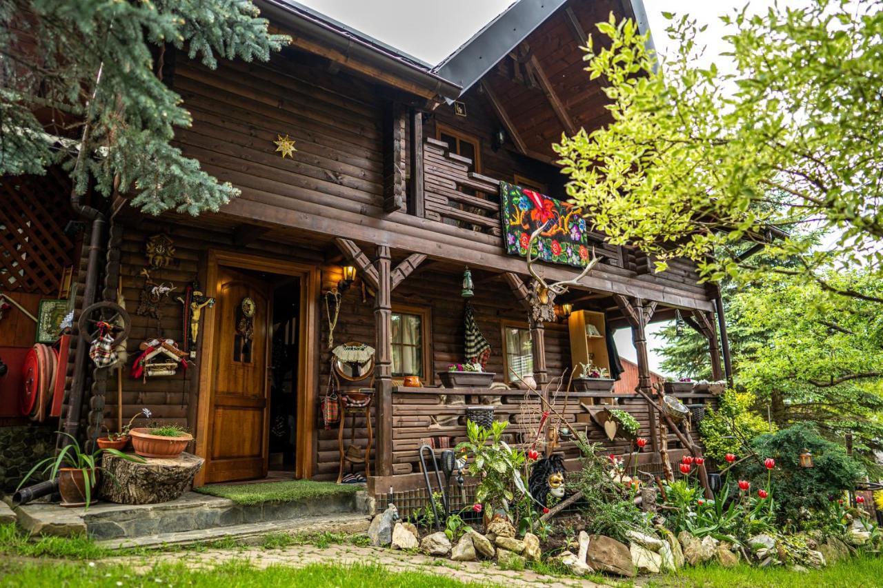 Borşa Cabana Rustic المظهر الخارجي الصورة