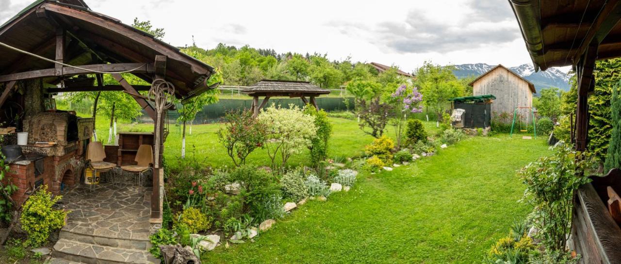 Borşa Cabana Rustic المظهر الخارجي الصورة