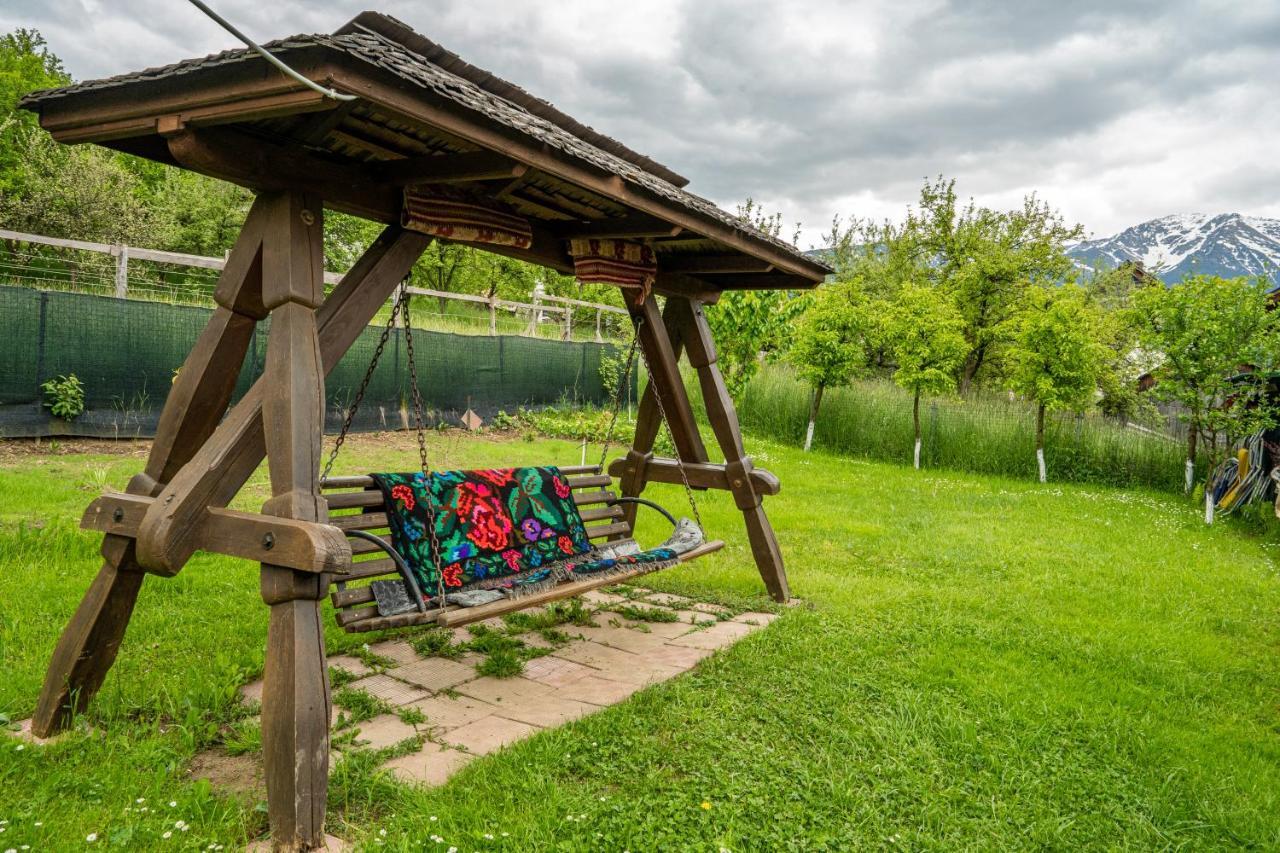 Borşa Cabana Rustic المظهر الخارجي الصورة