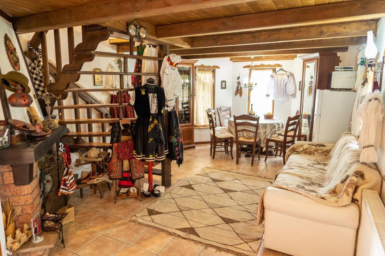 Borşa Cabana Rustic المظهر الخارجي الصورة