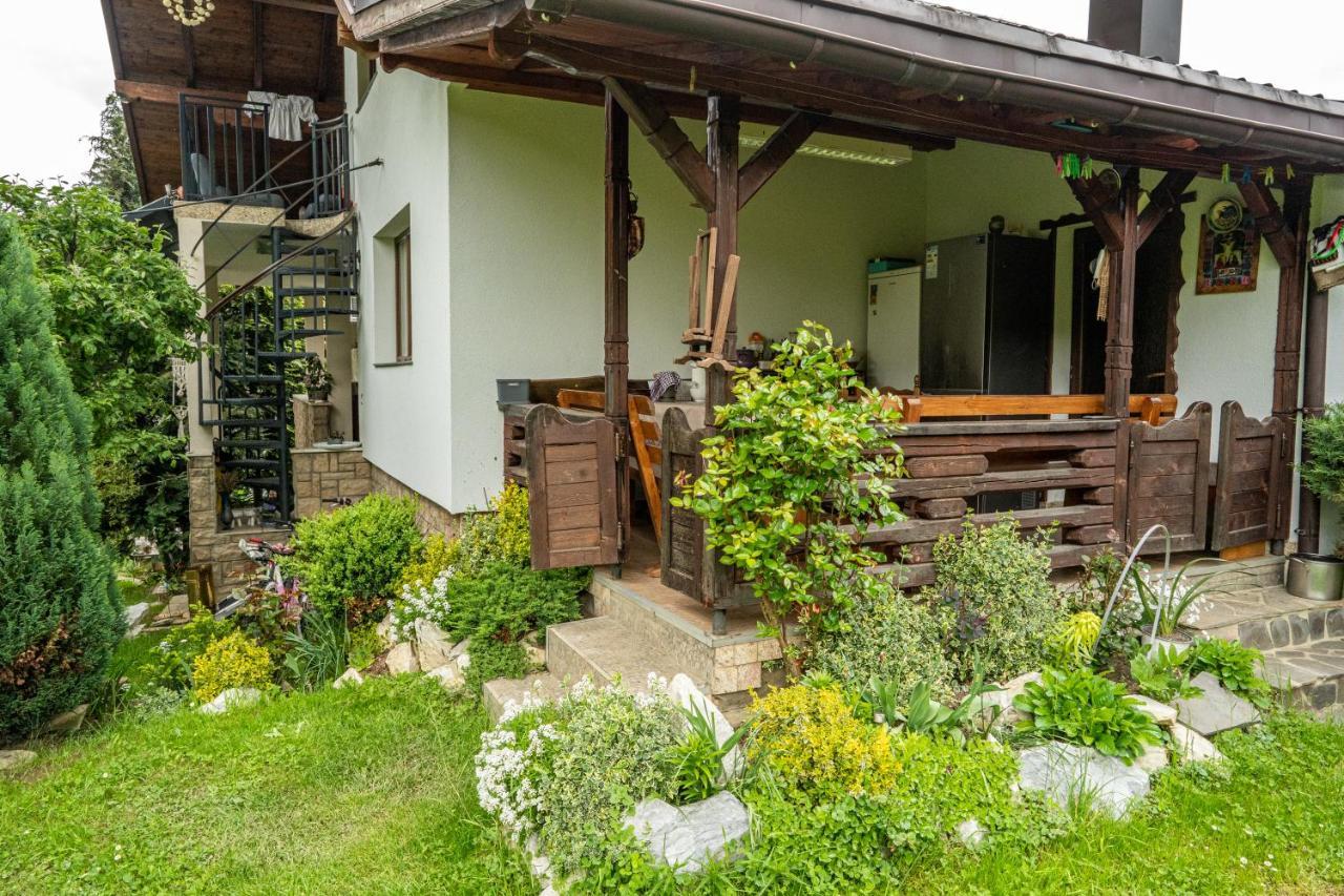 Borşa Cabana Rustic المظهر الخارجي الصورة