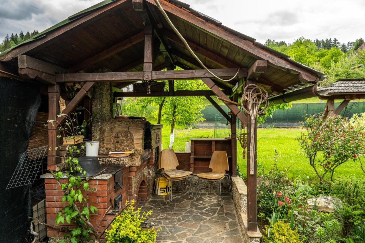 Borşa Cabana Rustic المظهر الخارجي الصورة