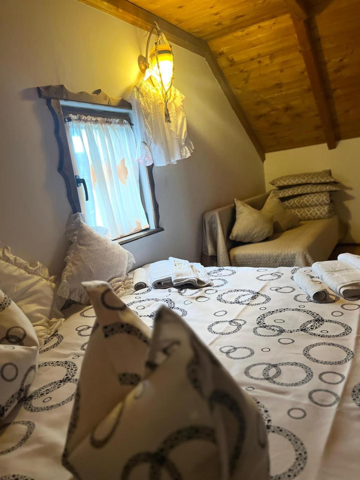 Borşa Cabana Rustic المظهر الخارجي الصورة
