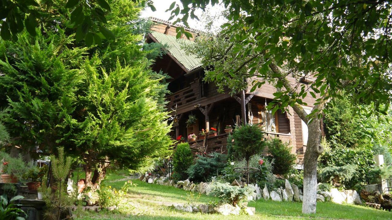Borşa Cabana Rustic المظهر الخارجي الصورة