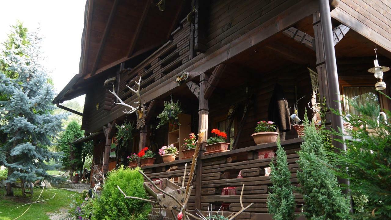 Borşa Cabana Rustic المظهر الخارجي الصورة