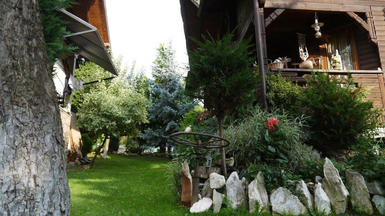 Borşa Cabana Rustic المظهر الخارجي الصورة