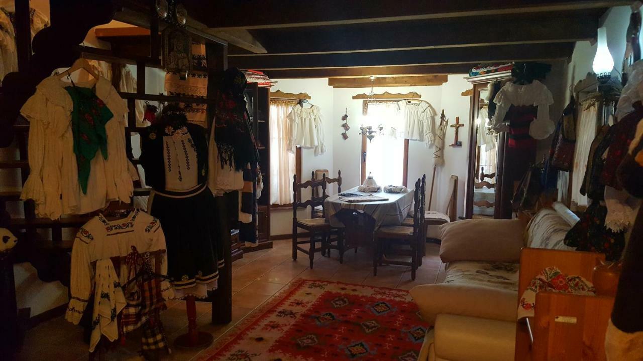 Borşa Cabana Rustic المظهر الخارجي الصورة