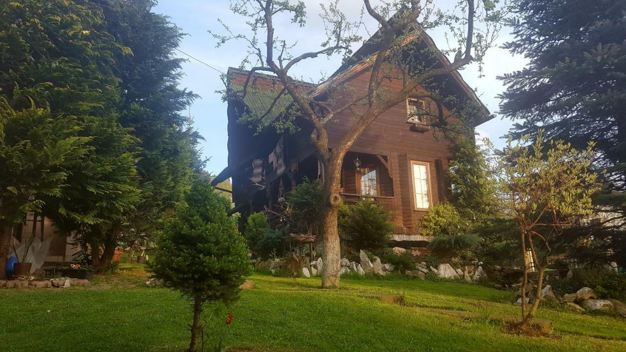 Borşa Cabana Rustic المظهر الخارجي الصورة